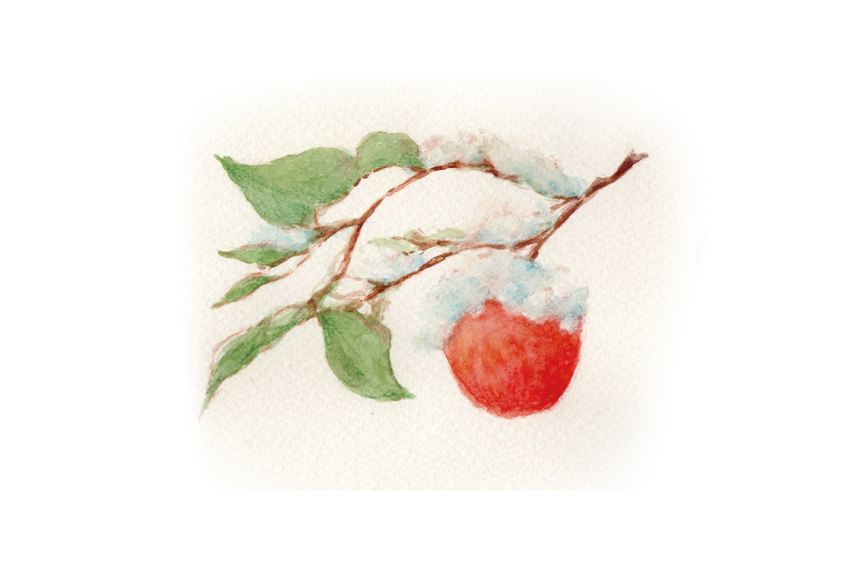 りんご畑の風景1