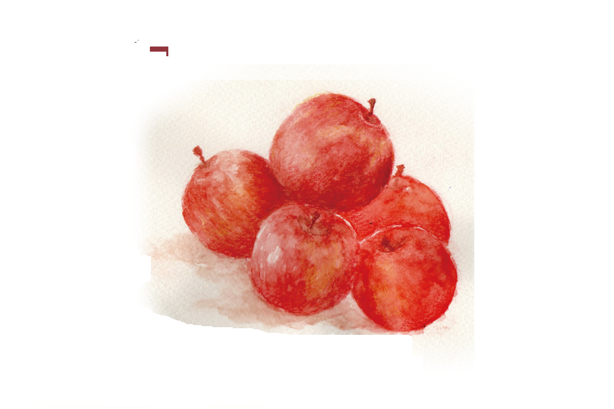 りんご畑の風景4